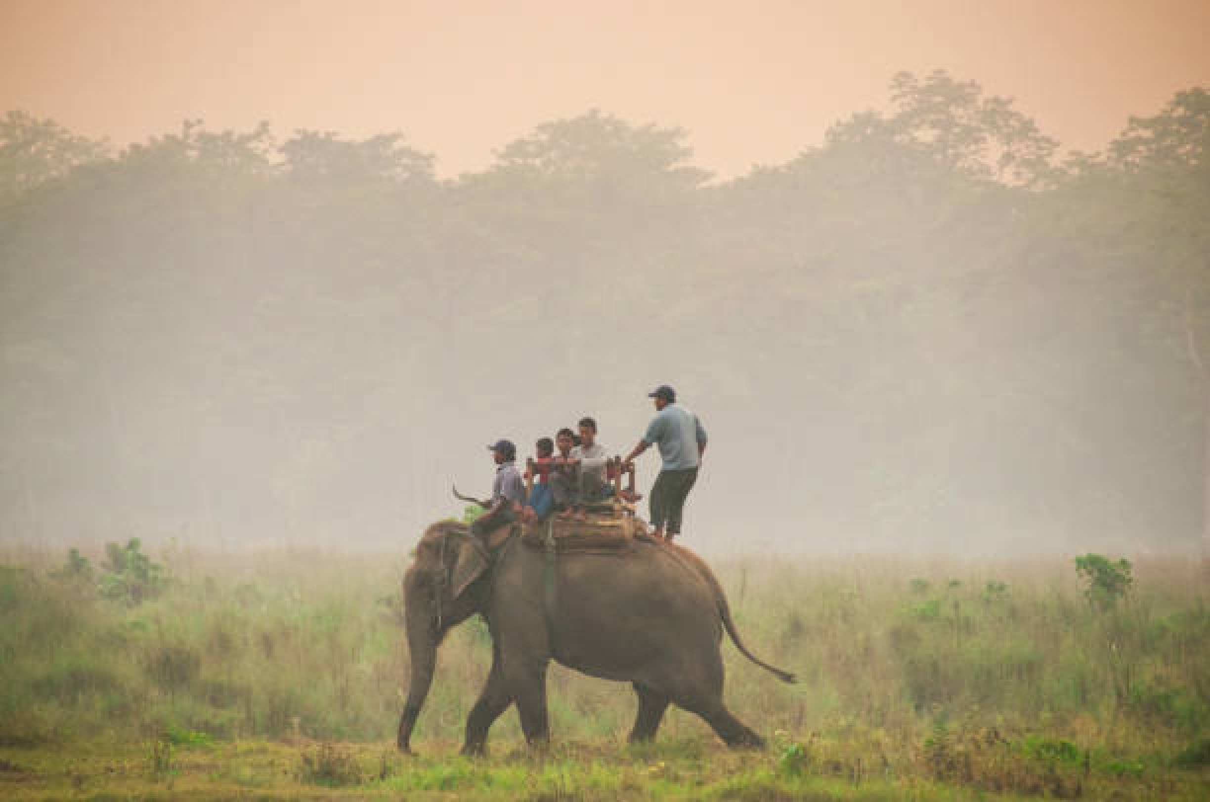 EV Rental Chitwan - electric vehicle rental near Chitwan National Park